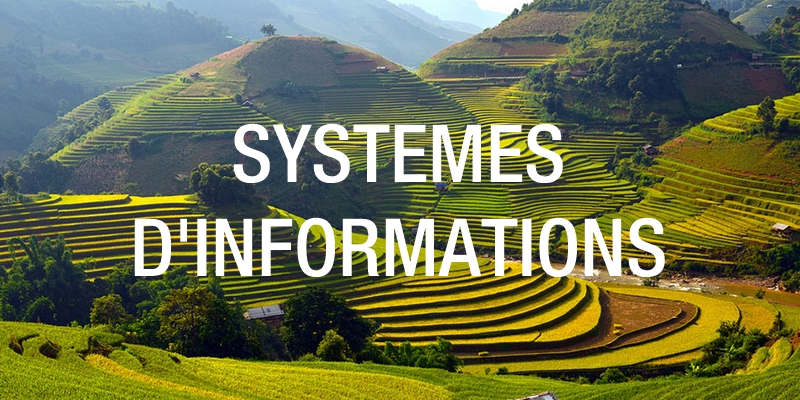 Systèmes d'information